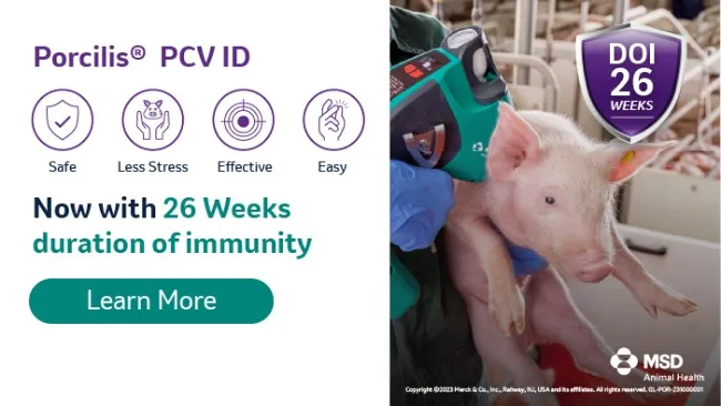 The longest duration of immunity PCV2 vaccine: 26 weeks! 