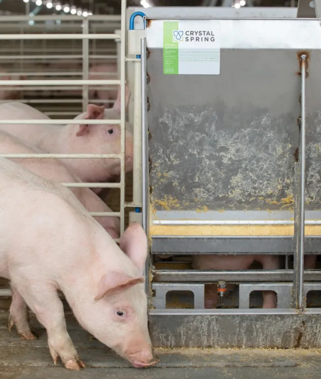 The Original Wet/Dry Feeder. Backed by 40 years of research and data. ...