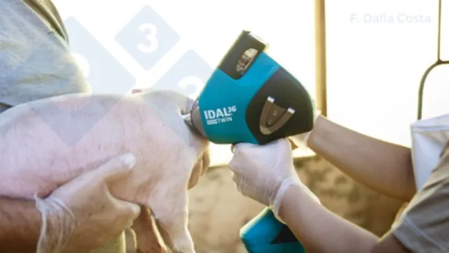 Innovaciones para la ética en la producción porcina