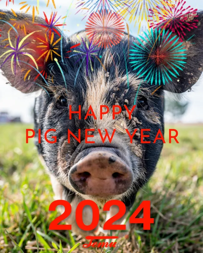 Happy pig new year!!!