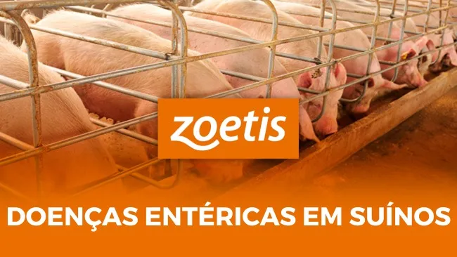 Problema pode ocorrer em todas as fases de vida do animal e é causa de prejuízos na  produção
