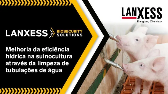 Limpeza regular das tubulações de água: uma prática fundamental