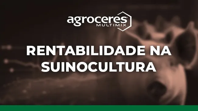 Apostar no menor desempenho é a melhor saída?