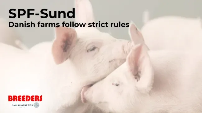 Danish farms follow strict rules