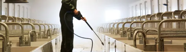 L'importanza della pulizia e della disinfezione sono essenziali per un...