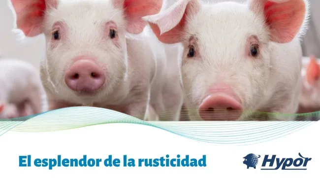El esplendor de la rusticidad