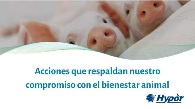 Acciones que respaldan nuestro compromiso con el bienestar animal