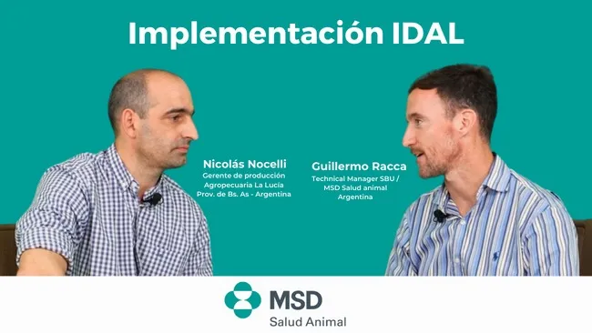 IDAL® revoluciona la vacunación porcina: sin agujas, más segura y eficiente. 