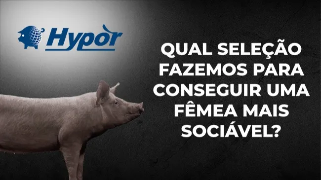 Matrizes com habilidades sociais têm múltiplas vantagens