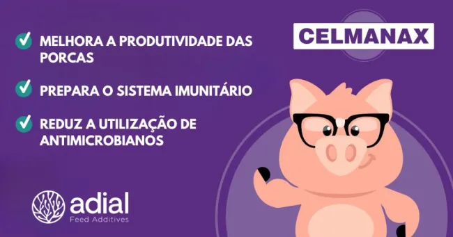 🐷 E se puder 𝗺𝗲𝗹𝗵𝗼𝗿𝗮𝗿 a 𝘀𝗮𝘂𝗱�...