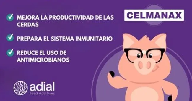 🐷 ¿Y si pudiera 𝗺𝗲𝗷𝗼𝗿𝗮𝗿 la 𝘀𝗮𝗹𝘂�...