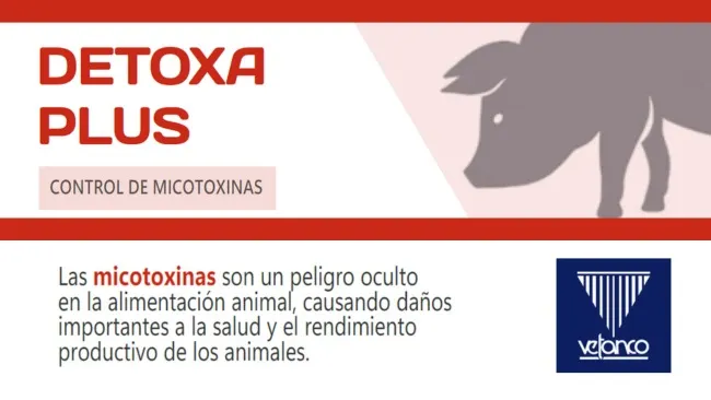 DETOXA PLUS - Control de micotoxinas