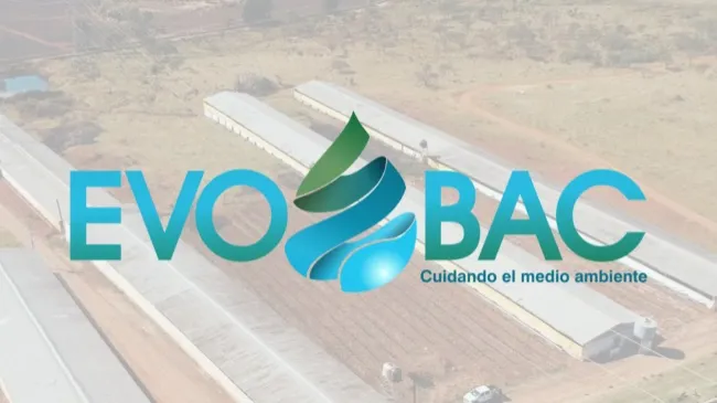 Biotecnología biodegradable para la reducción de contaminación en aguas residuales