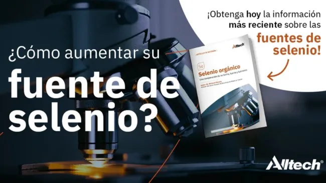 ¿Cómo aumentar su fuente de Selenio para dietas de cerdos?