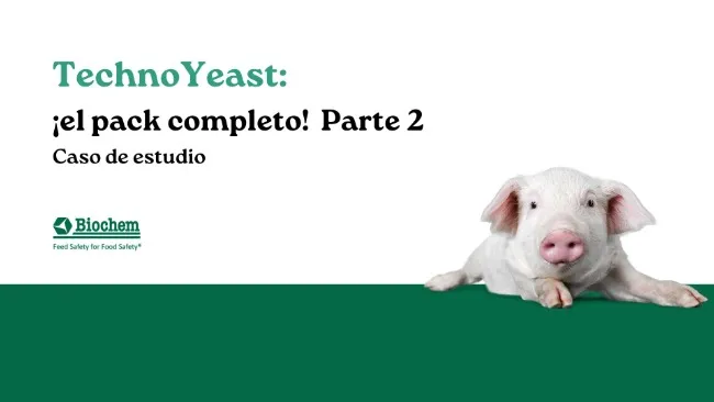 TechnoYeast: ¡el pack completo! - Parte 2