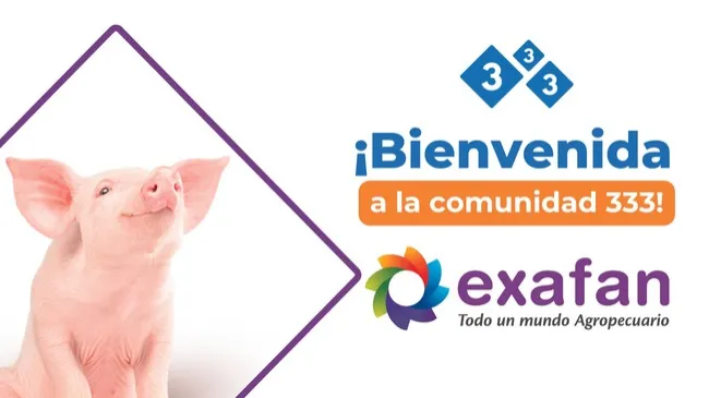 Exafan se une a la comunidad de 333