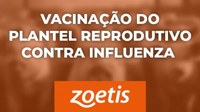 Estratégia no controle e disseminação do vírus influenza nos sistemas de produção de suínos