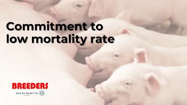 Commitment to low mortality rate