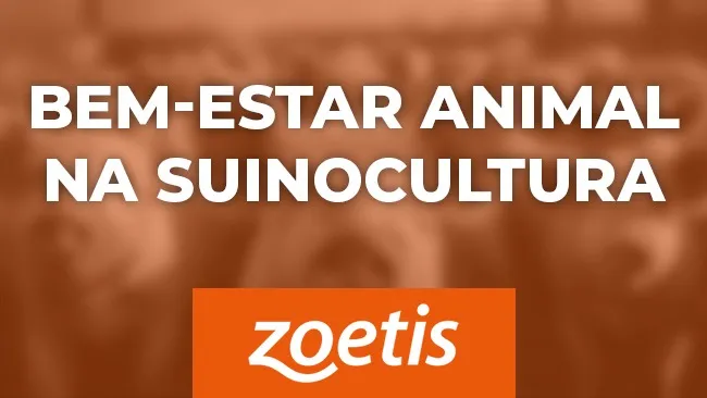 Adotar as práticas de bem-estar animal tornou-se imperativo para continuar crescendo