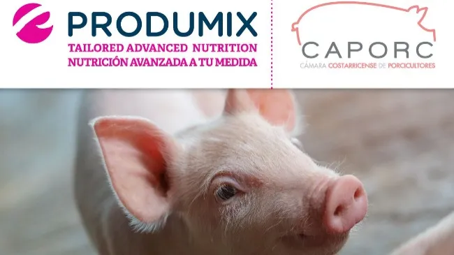 Produmix đang tìm kiếm nhà phân phối tại Việt Nam