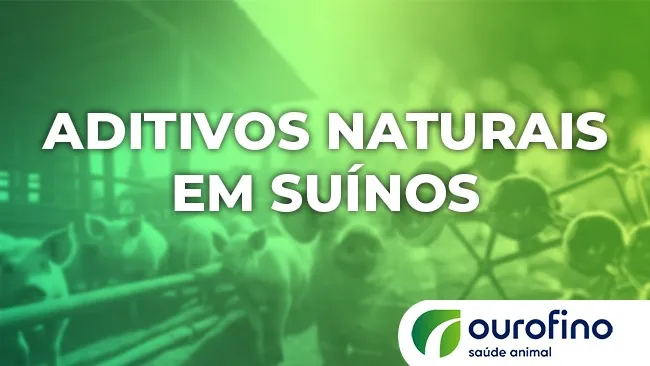 Aliados do desempenho zootécnico