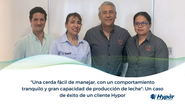 "Una cerda fácil de manejar, con un comportamiento tranquilo y gran capacidad de producción de leche": Un caso de éxito de un cliente Hypor