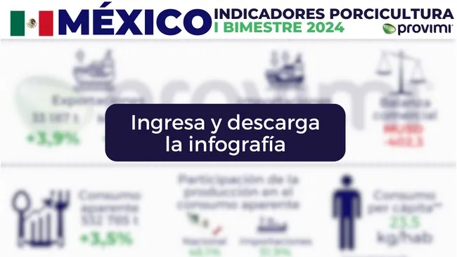Indicadores del sector porcicultor mexicano en el primer bimestre de 2024 
