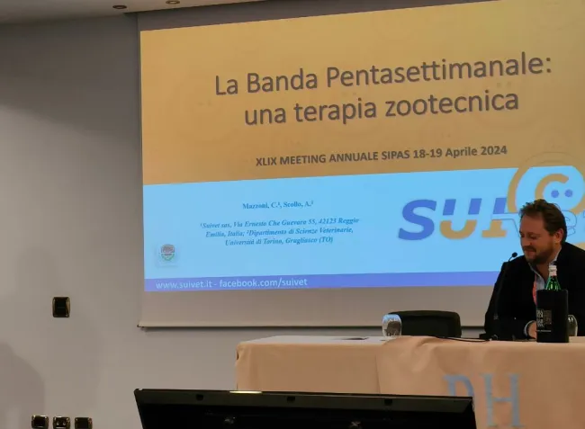 Sempre più allevamenti scelgono di passare a banda 5 settimane per sc...
