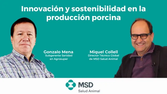 Innovación y sostenibilidad en la producción porcina: Agrosuper y MSD Salud Animal