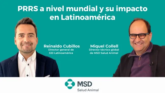 PRRS a nivel mundial y su impacto en Latinoamérica