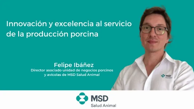 Innovación y excelencia al servicio de la producción porcina