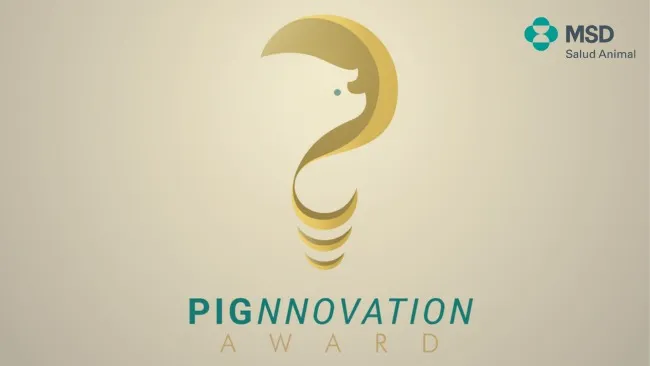 Llega el Concurso Pignnovation de MSD Salud Animal: un concurso para la industria porcina