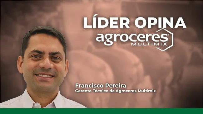 Líder Opina: Conceito imunomodulador para fêmeas suínas de alta prolificidade