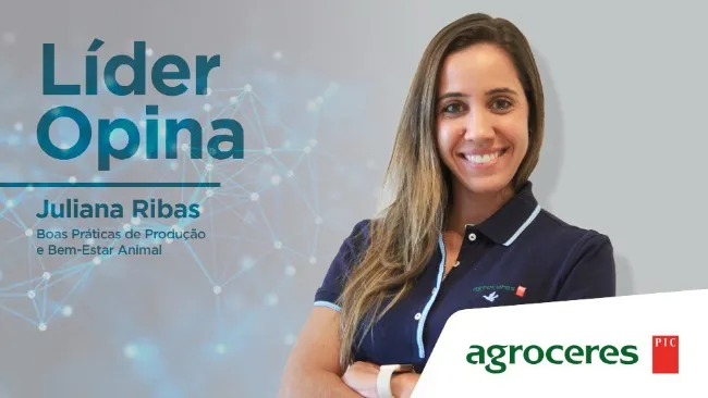 Líder Opina: Como implementar a IN113 de forma eficiente na produção de suínos ?