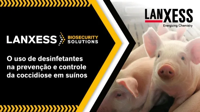 Adoção de boas práticas de aplicação e a escolha de produtos adequados contribui para a saúde e o desempenho do plantel 