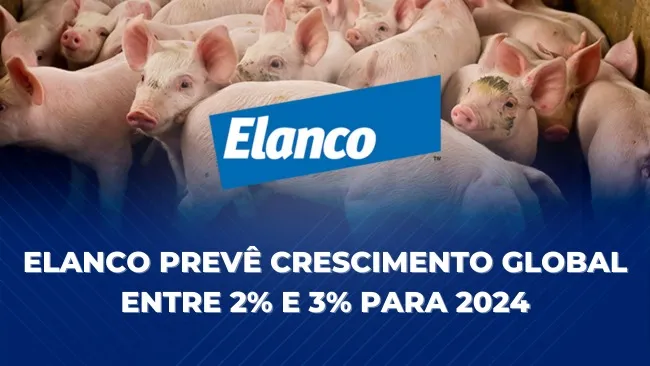 Divulgação dos resultados do balanço financeiro do primeiro trimestre de 2024