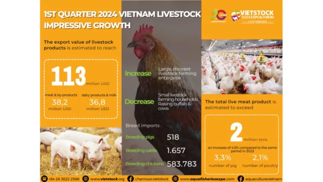 IN THE FIRST QUARTER 2024, VIETNAM'S LIVESTOCK GROWTH IS IMPRESSIVE