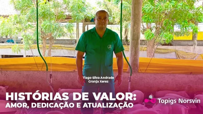 Pontos-chaves para uma carreira de sucesso na suinocultura