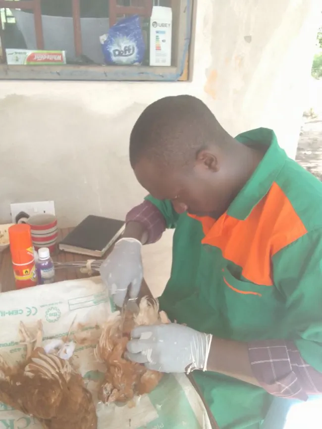 super field diagnostic 