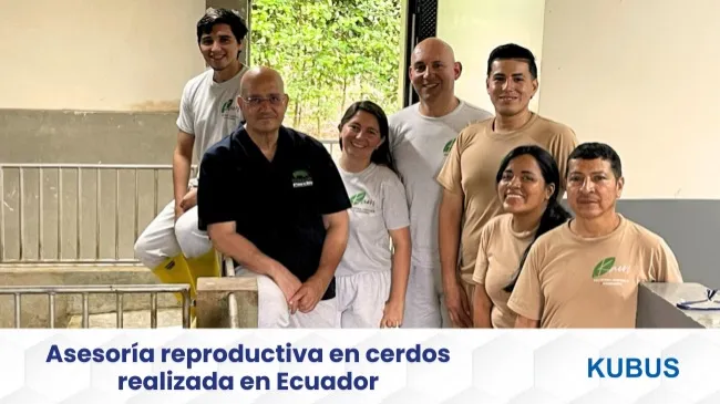 Asesoría reproductiva en cerdos realizada en Ecuador