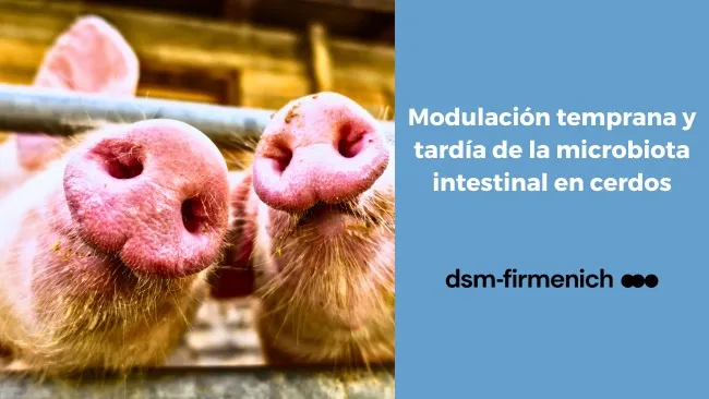 Impacto de la microbiota intestinal en el desarrollo y rendimiento de los cerdos