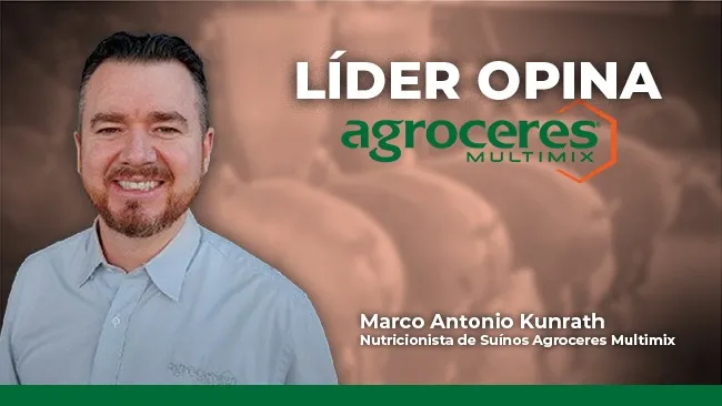 Líder Opina - Qual a importância da ração creep-feeding?