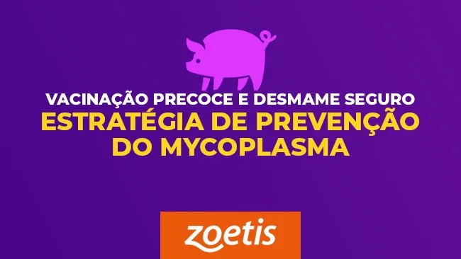Manejo adequado e medidas de biosseguridade: fundamentais para a redução da infecção pelo Mycoplasma