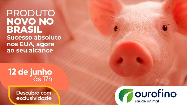 Descubra o que há de melhor para o seu negócio!