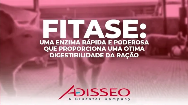 Rápida, poderosa e termoestável: Características chave de uma fitase