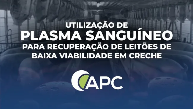 Alternativa viável na recuperação de leitões