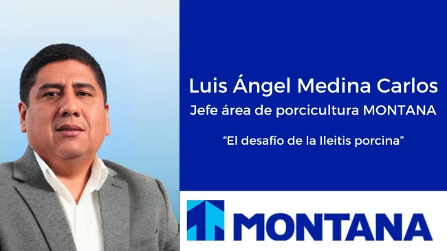 Desafíos de la Ileitis porcina en la industria: diagnóstico y control eficaz