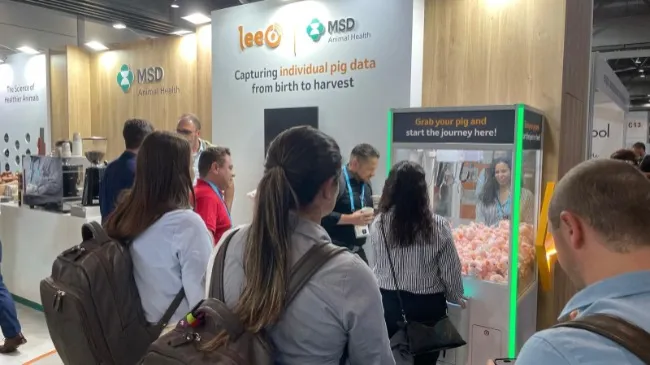 MSD Animal Health participa en el ESPHM 2024 el Congreso Científico Europeo de referencia para el sector porcino