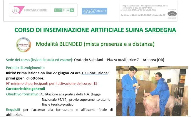 Corso Inseminazione Artificale Suina in Sardegna