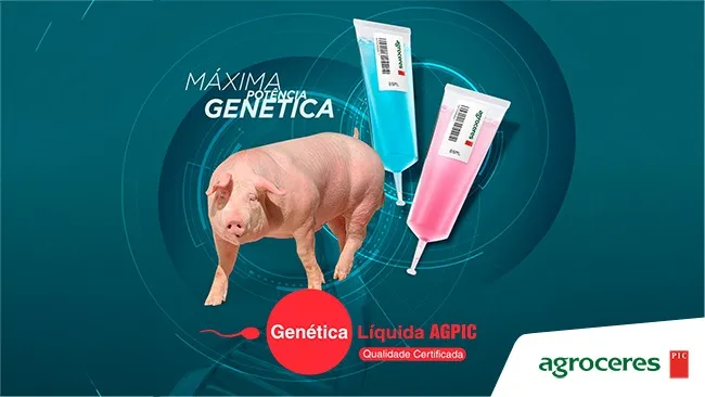 Agroceres PIC finaliza povoamento da UDG Campos Novos